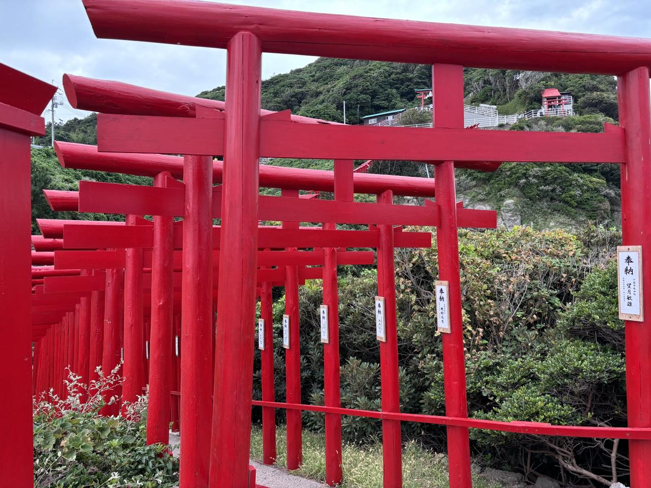 元乃隅神社の鳥居