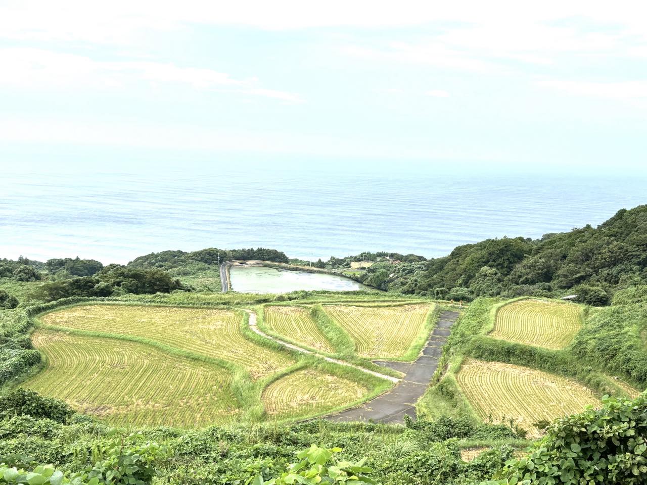 東後畑棚田